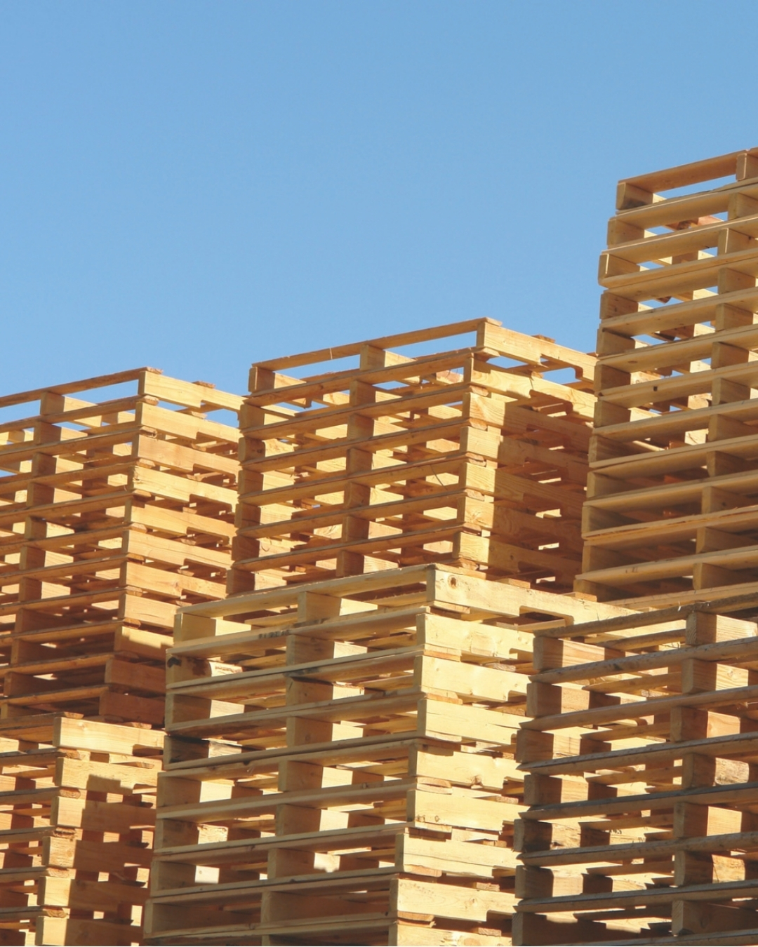 Pallet de madera de alta calidad